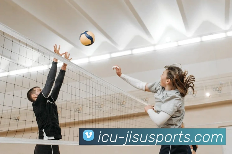 极速体育官方全站App